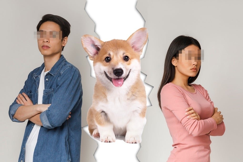 Chia tay tình nhân, người trẻ Trung Quốc tranh quyền nuôi thú cưng