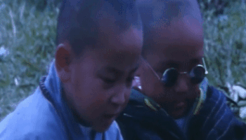 Ly do bo doi 'Tan O long vien' lam khuynh dao man anh mot thoi hinh anh