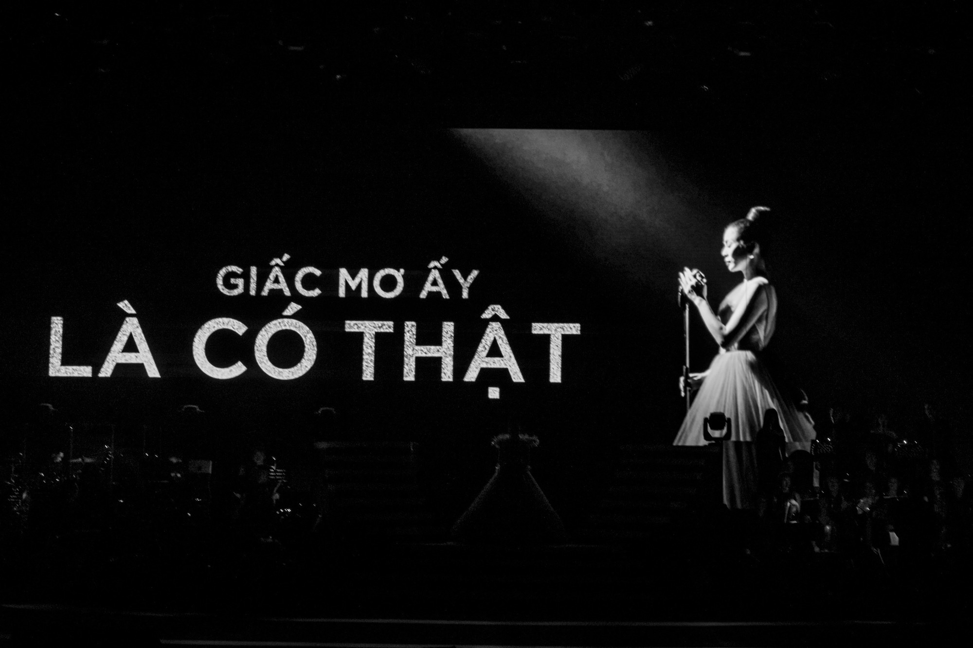 live show dinh nhat 2019 anh 97