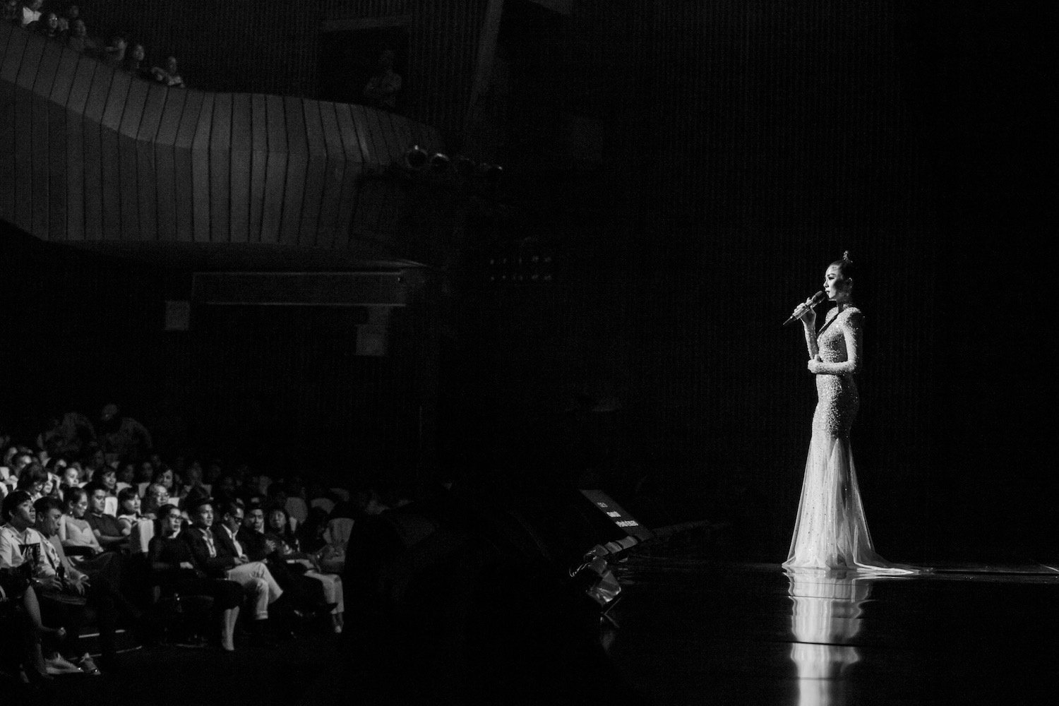 live show dinh nhat 2019 anh 107