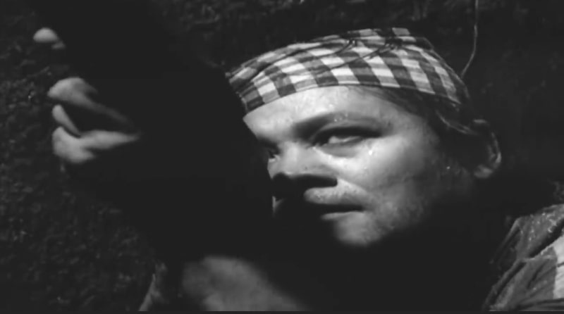 Dien xuat cua NSND Lam Toi trong tac pham kinh dien 'Canh dong hoang' hinh anh