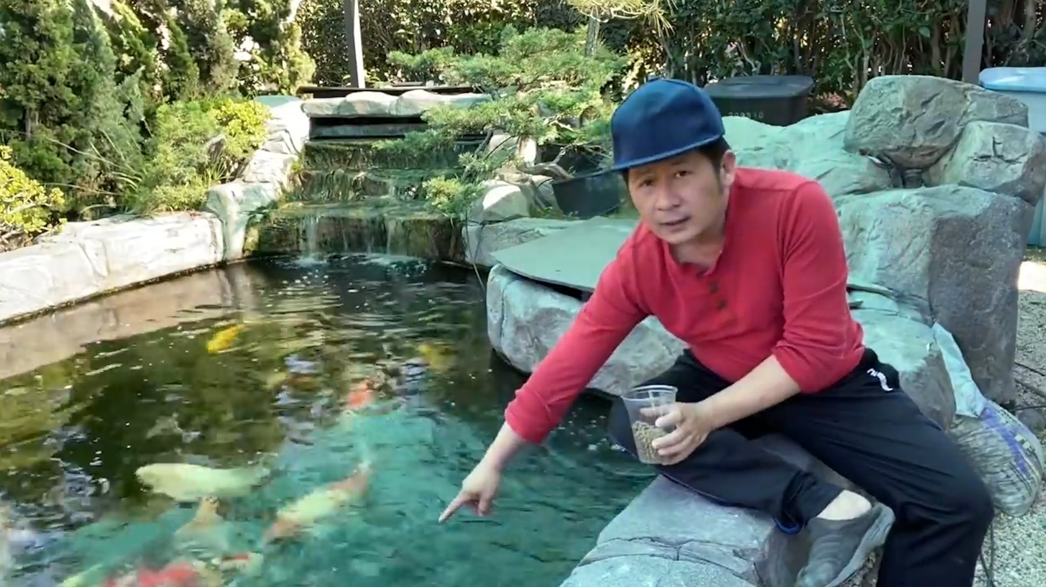 Ho ca Koi duoc nuoi hon 10 nam cua ca si Bang Kieu hinh anh