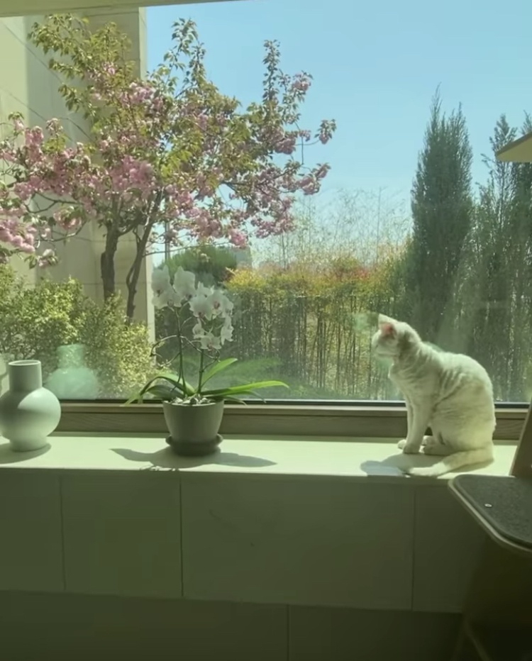 tae yang big bang ảnh 1 tae yang big bang anh 1