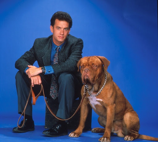 cuộc đời của tom hanks ảnh 5 cuoc doi cua tom hanks anh 5