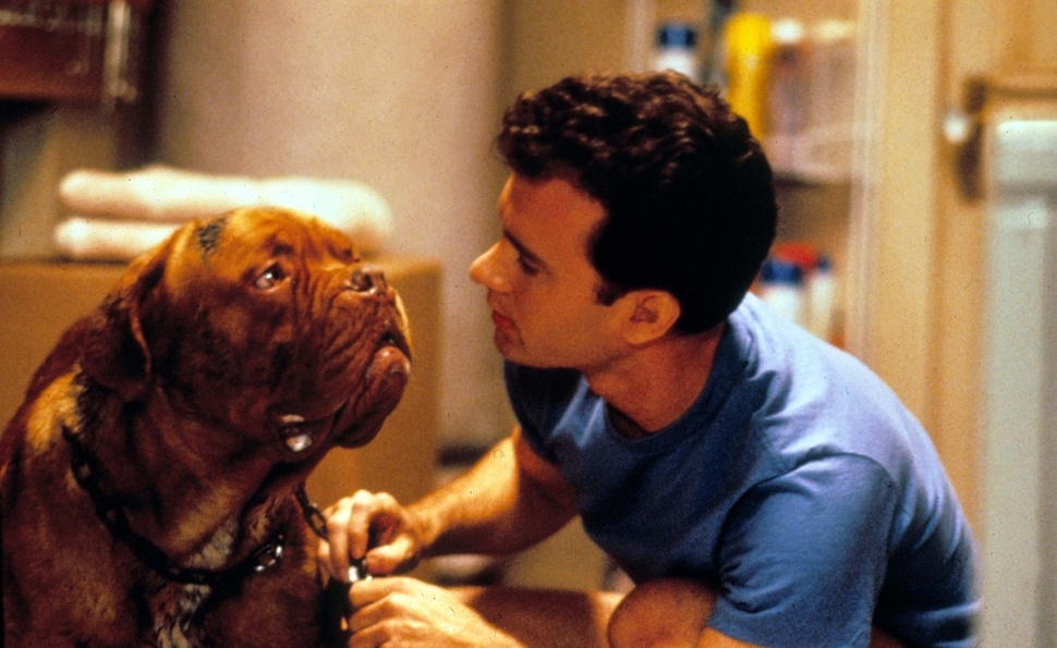 cuộc đời của tom hanks ảnh 6 cuoc doi cua tom hanks anh 6