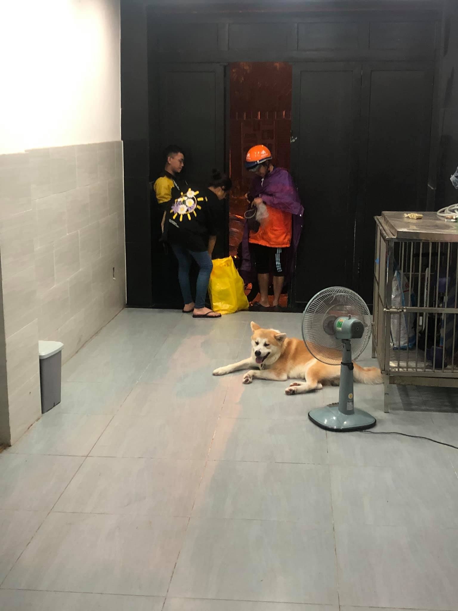 lam vy da bi gia mao anh 2