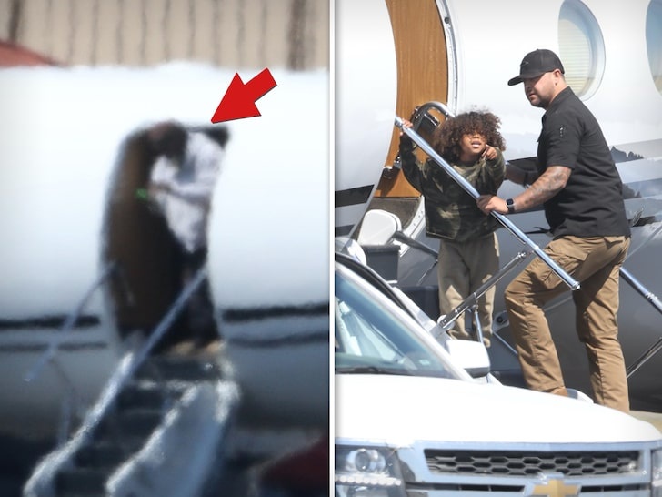 kim kardashian ly hon anh 2