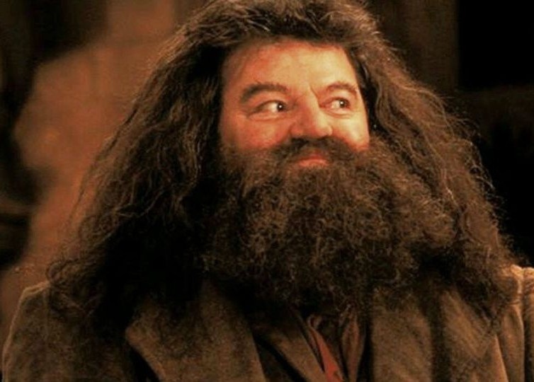 ‘Sinh vat huyen bi 3’ co the bo sung them nhan vat tu ‘Harry Potter’ hinh anh