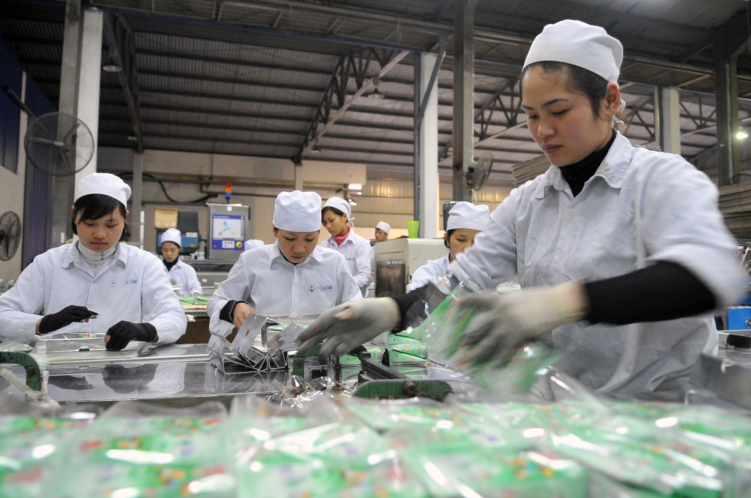 gia ca,  tien te anh 1