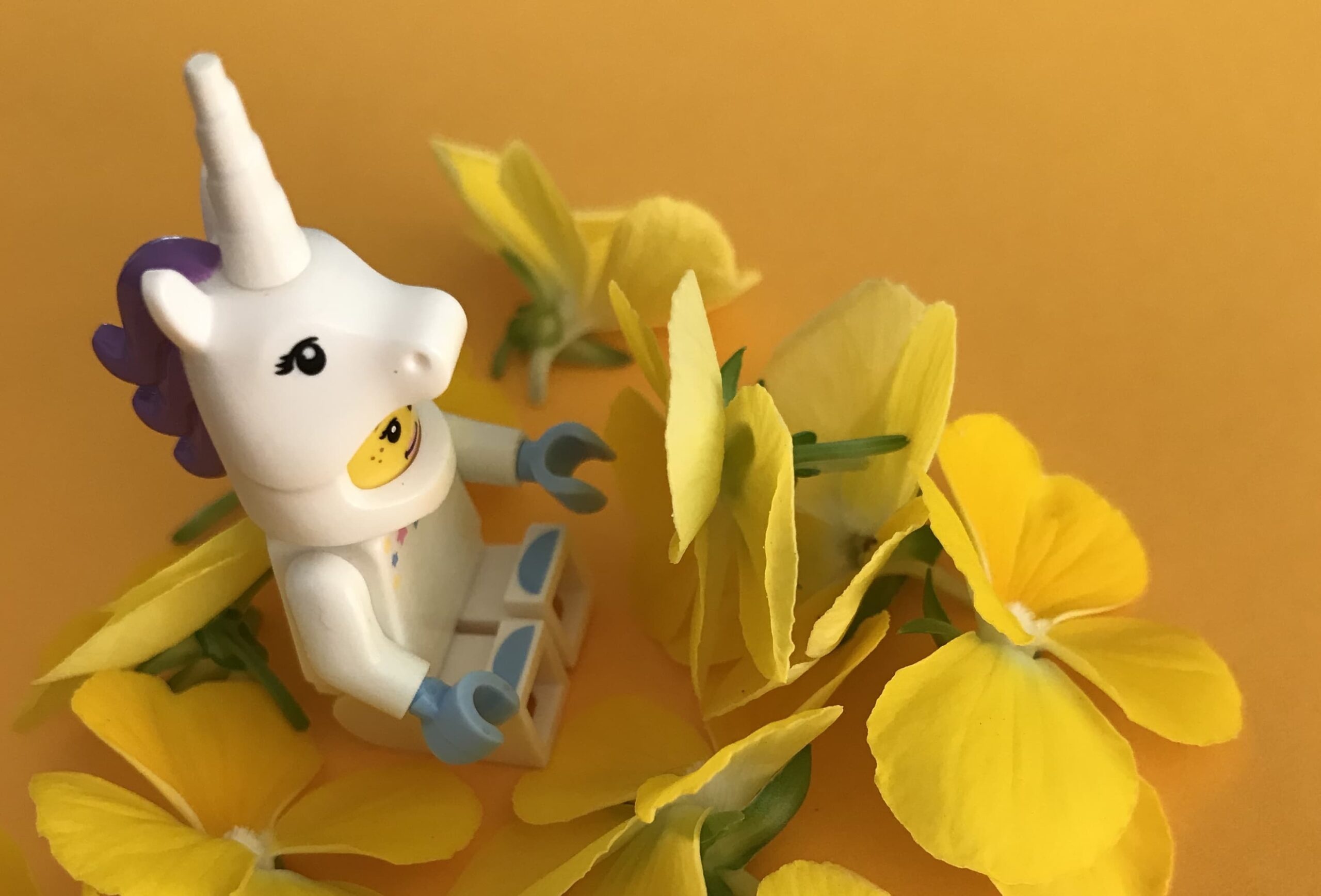 grab,  ky lan,  startup,  khoi nghiep,  loi nhuan,  hoa von,  dau tu,  rot von,  thuong vu,  quy dau tu,  chung khoan,  co phieu anh 2