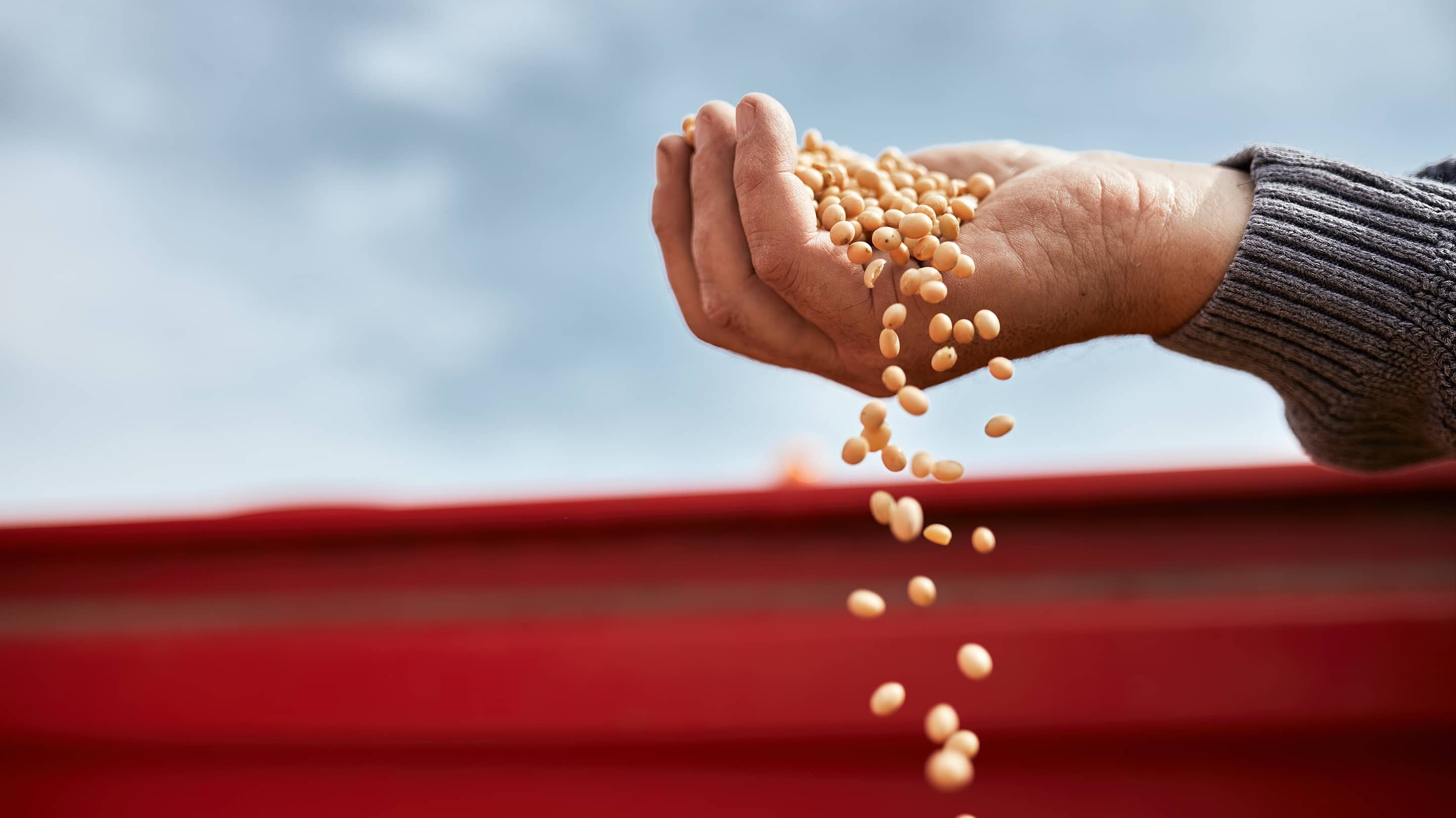 Nhap khau luong thuc gan 2.000 ty USD gay kho cho cac nuoc ngheo hinh anh