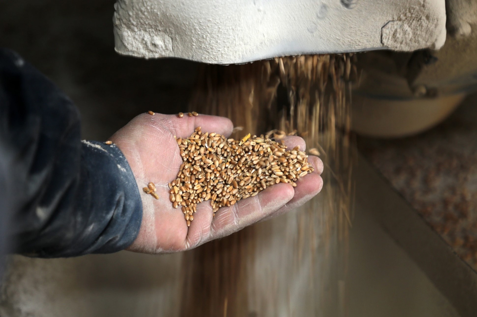 Gia luong thuc nam 2023 van leo thang hinh anh