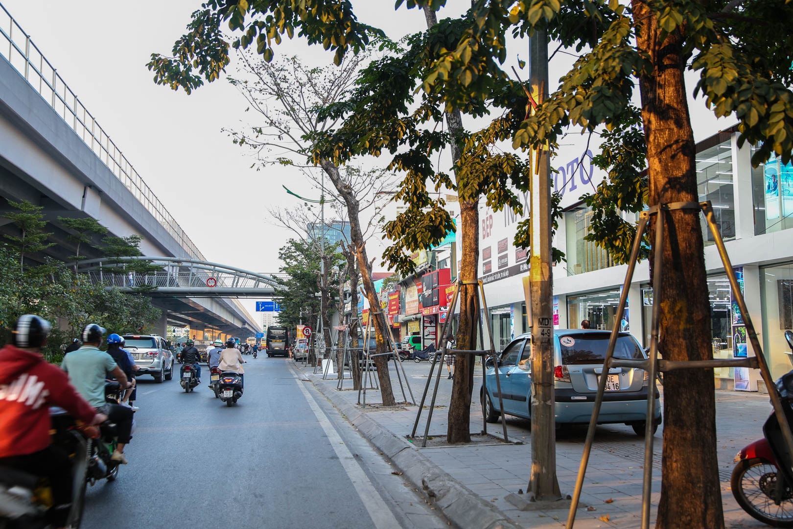 Cay chet kho Ha noi anh 11