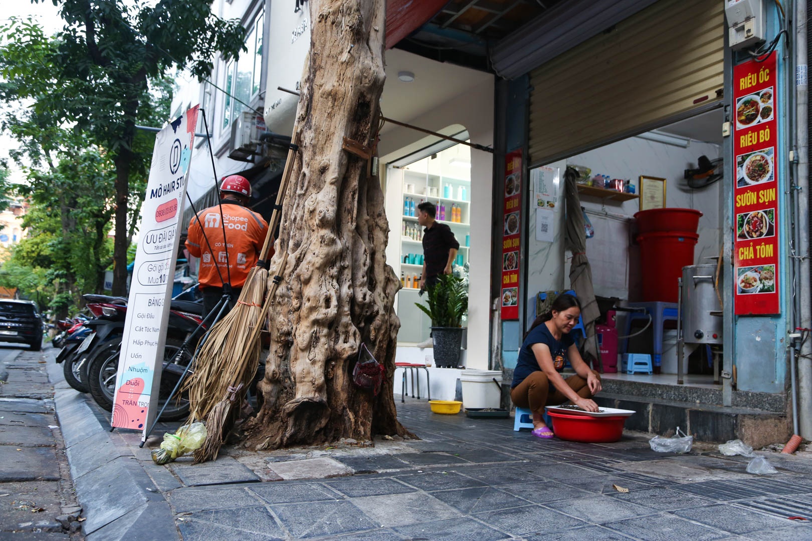 Cay chet kho Ha noi anh 2