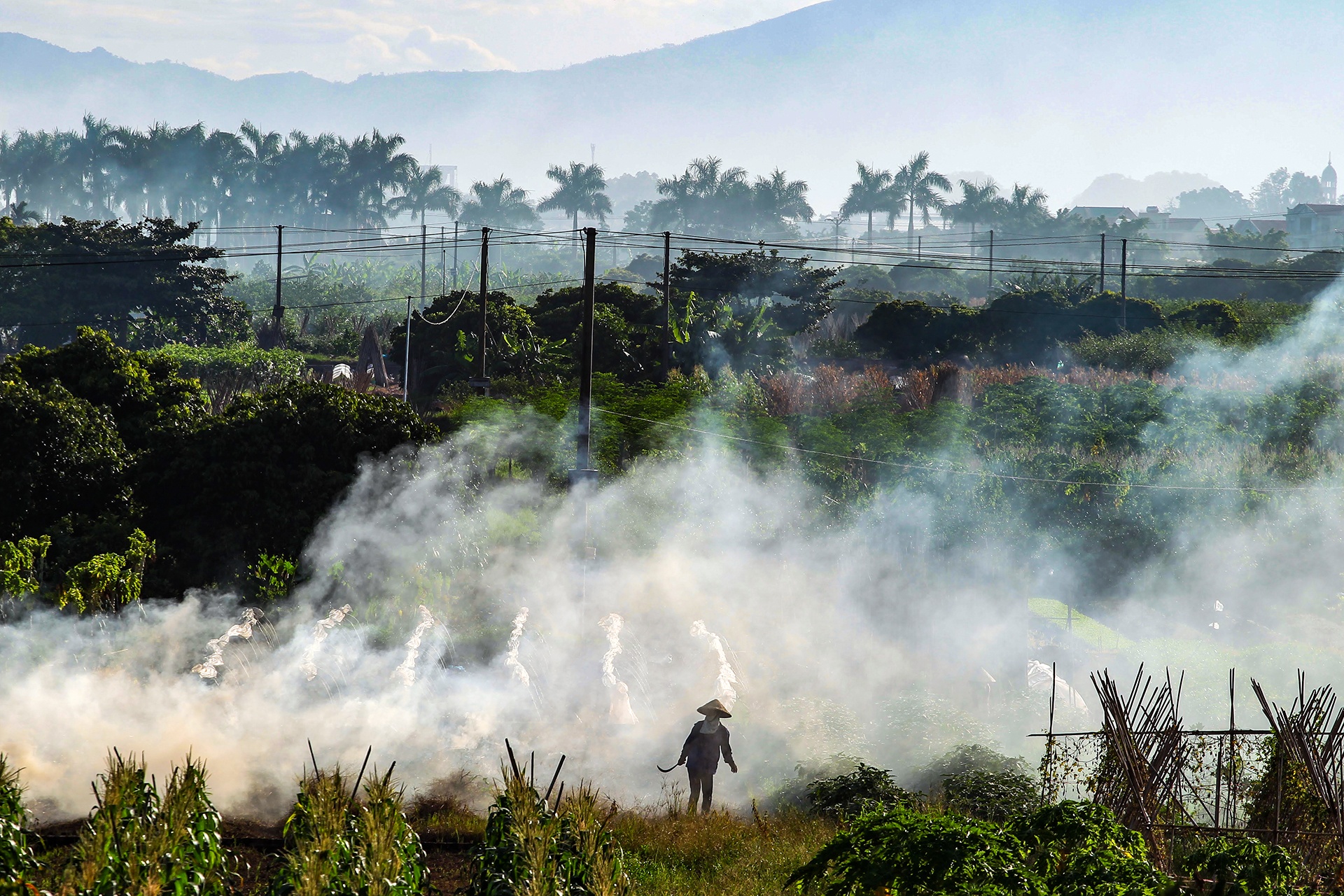 Ha Noi chim trong khoi bui vi dot rac va rom ra sau vu mua hinh anh