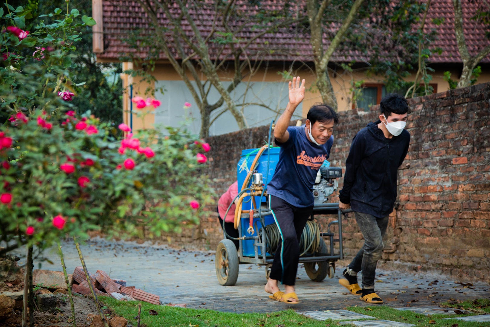 Vuon hoa hong Ha Noi anh 5