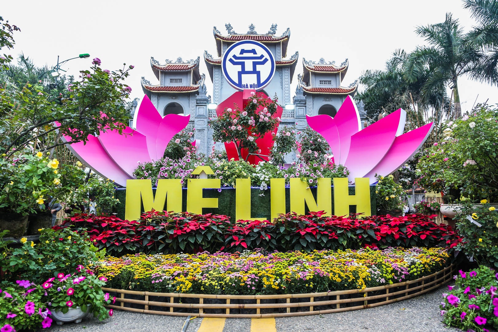 Lễ hội hoa Mê Linh ảnh 1 Le hoi hoa Me Linh anh 1