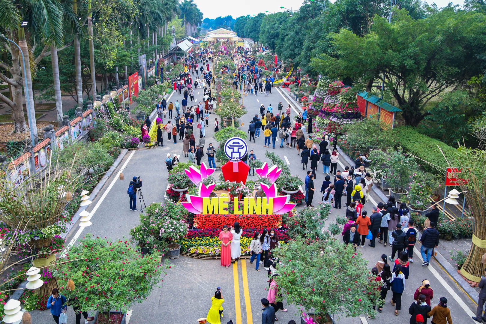 Lễ hội hoa Mê Linh ảnh 2 Le hoi hoa Me Linh anh 2