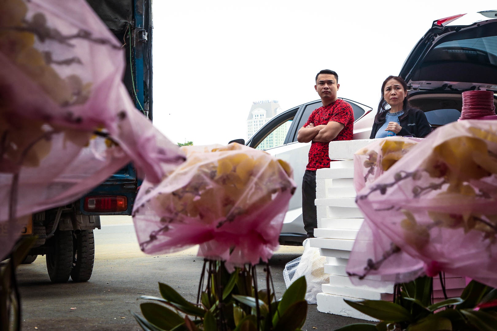 chau lan ho diep anh 10