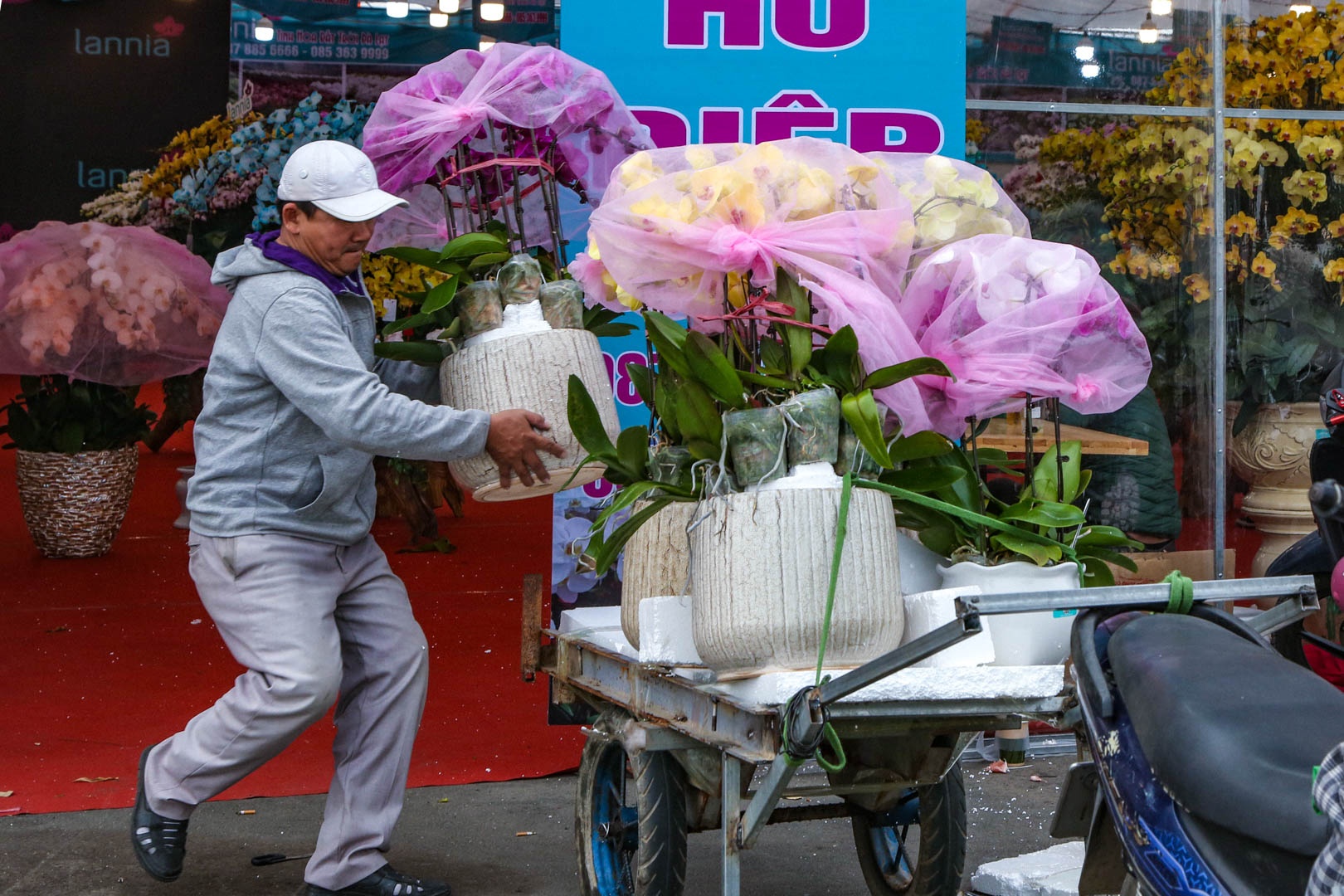 chau lan ho diep anh 11