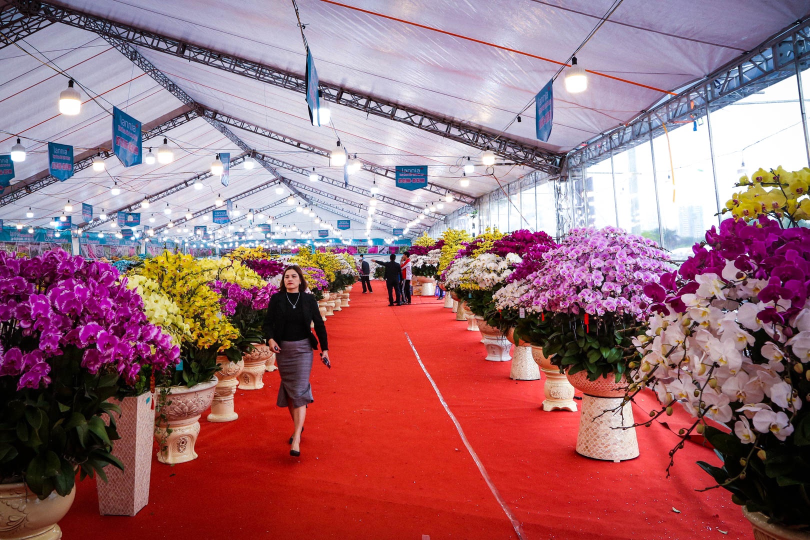 chau lan ho diep anh 1