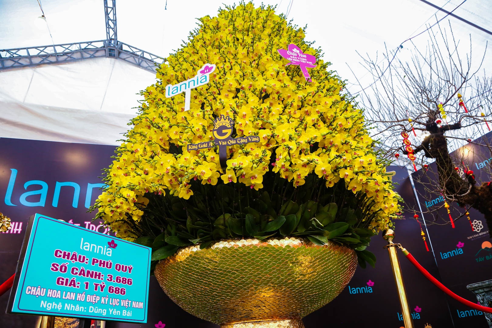 chau lan ho diep anh 2