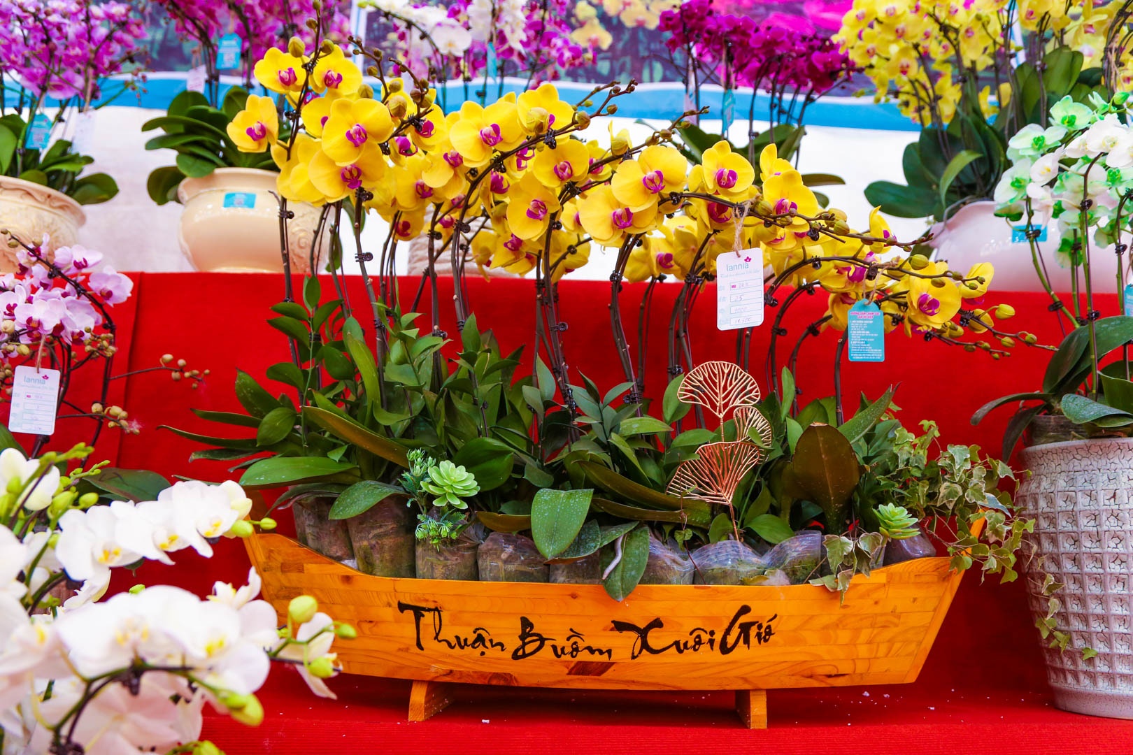 chau lan ho diep anh 7