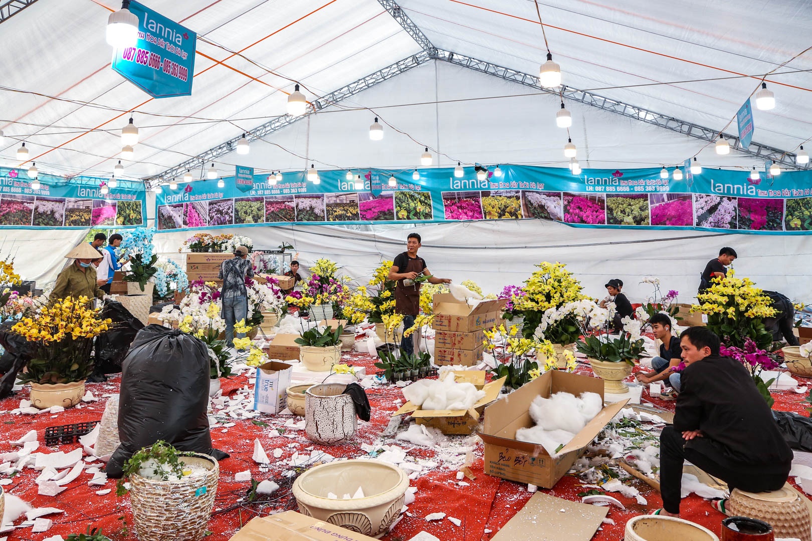 chau lan ho diep anh 8