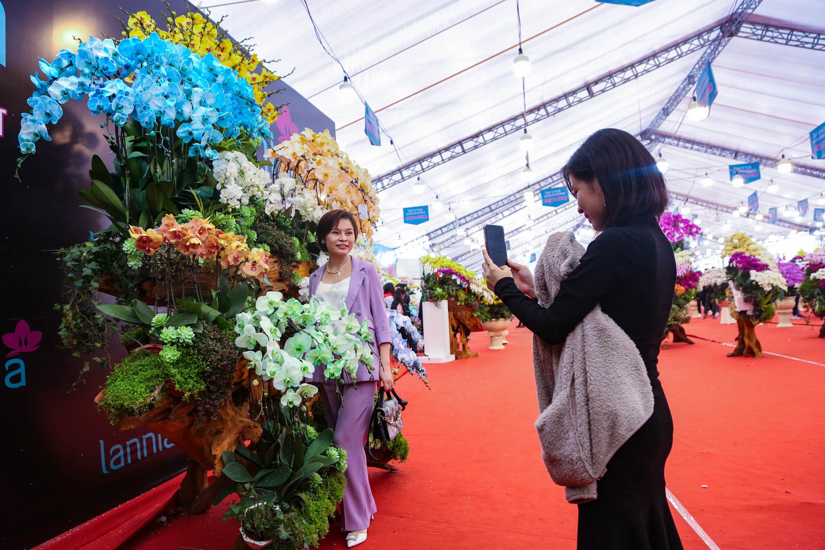 chau lan ho diep anh 6