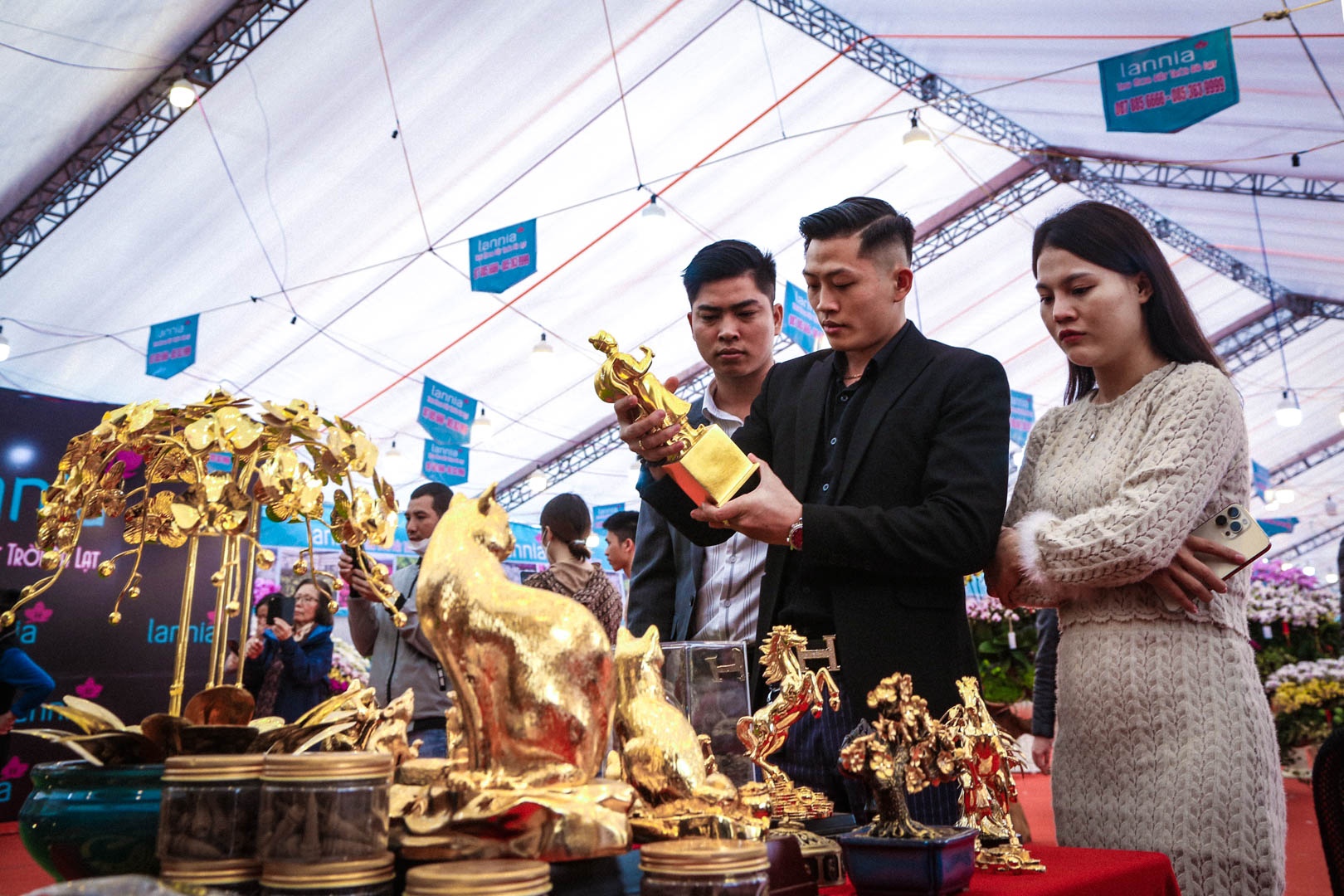 cay mai ma vang anh 10