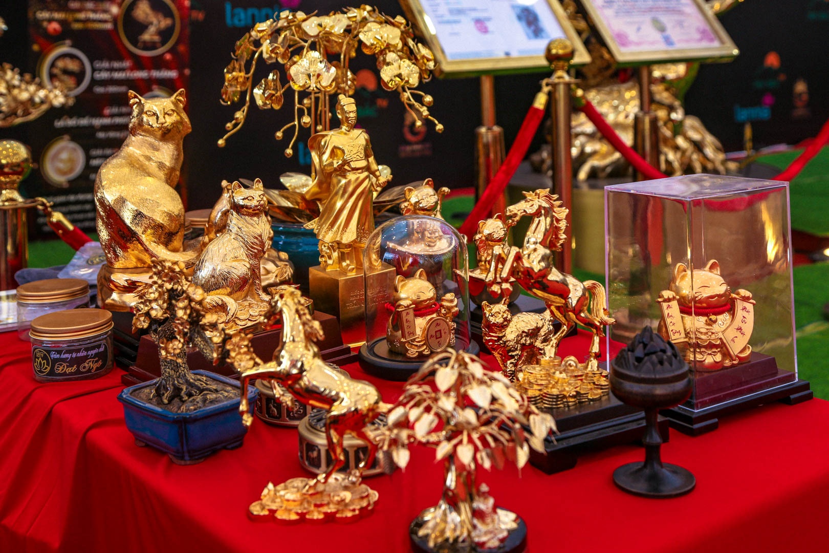 cay mai ma vang anh 6