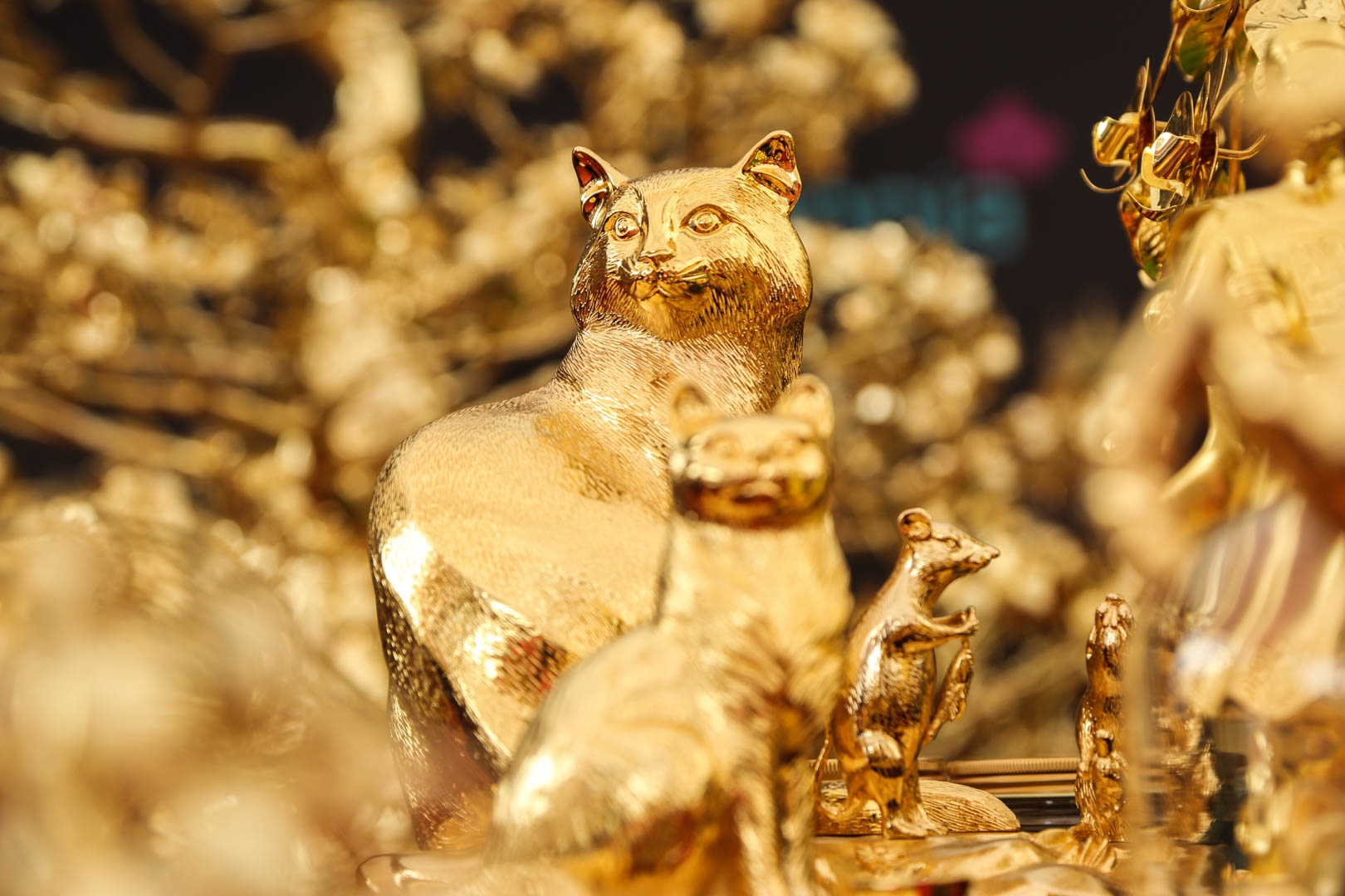 cay mai ma vang anh 8