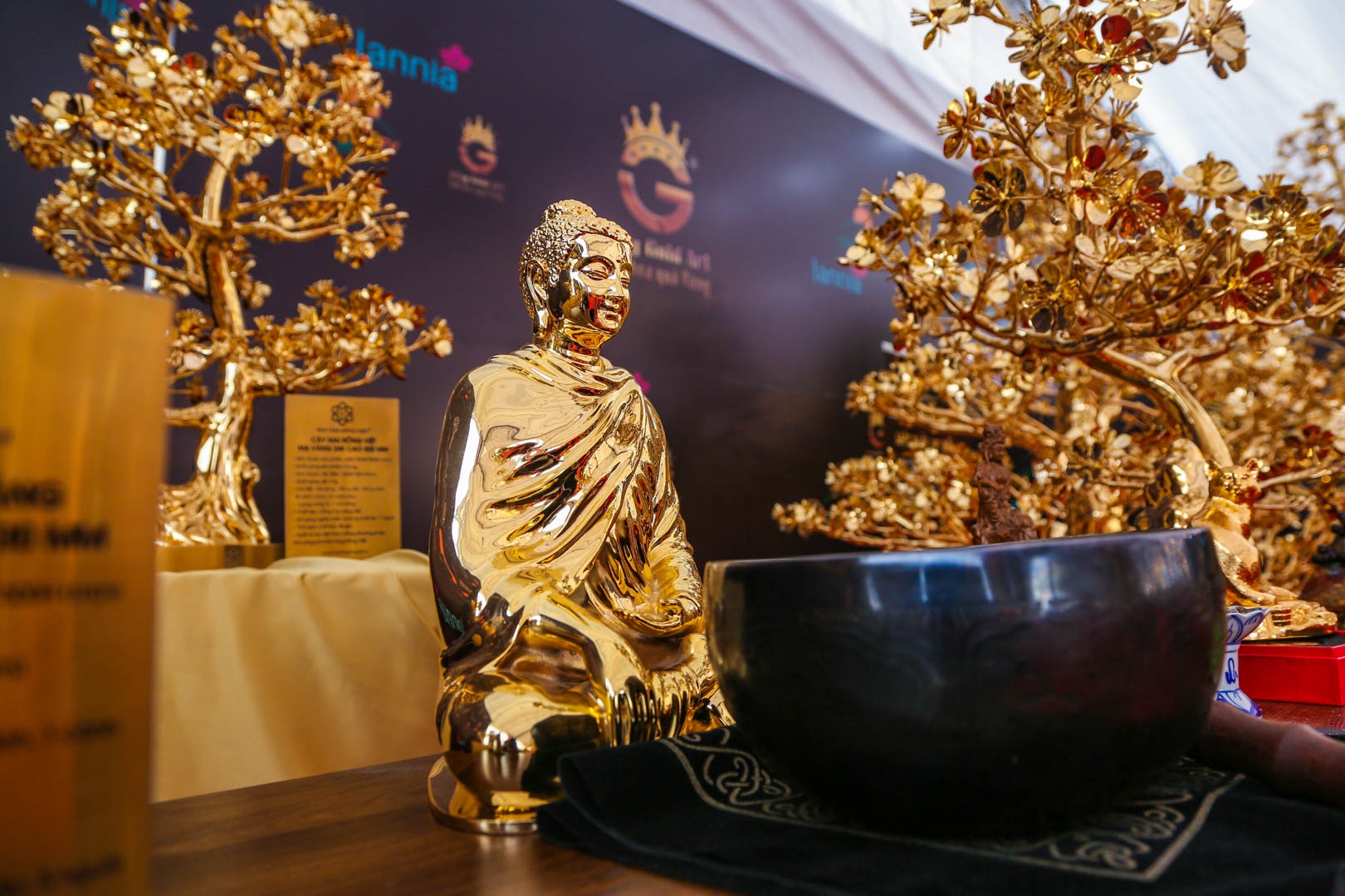 cay mai ma vang anh 9