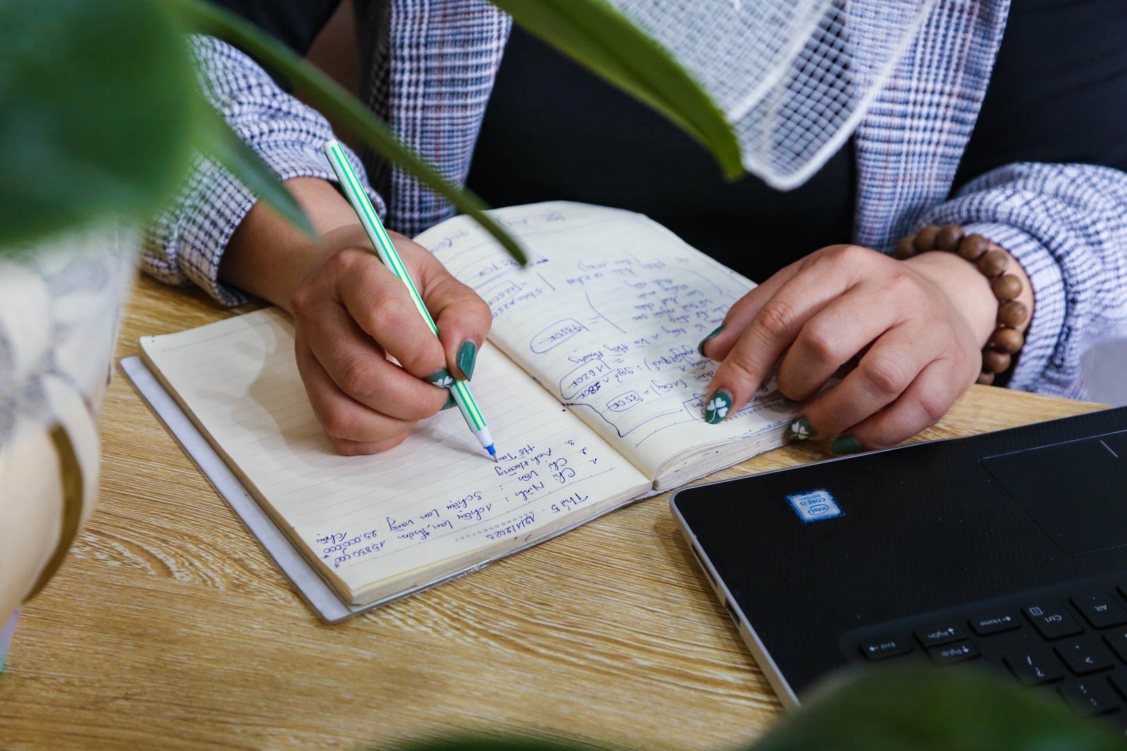 tho cam hoa lan anh 12