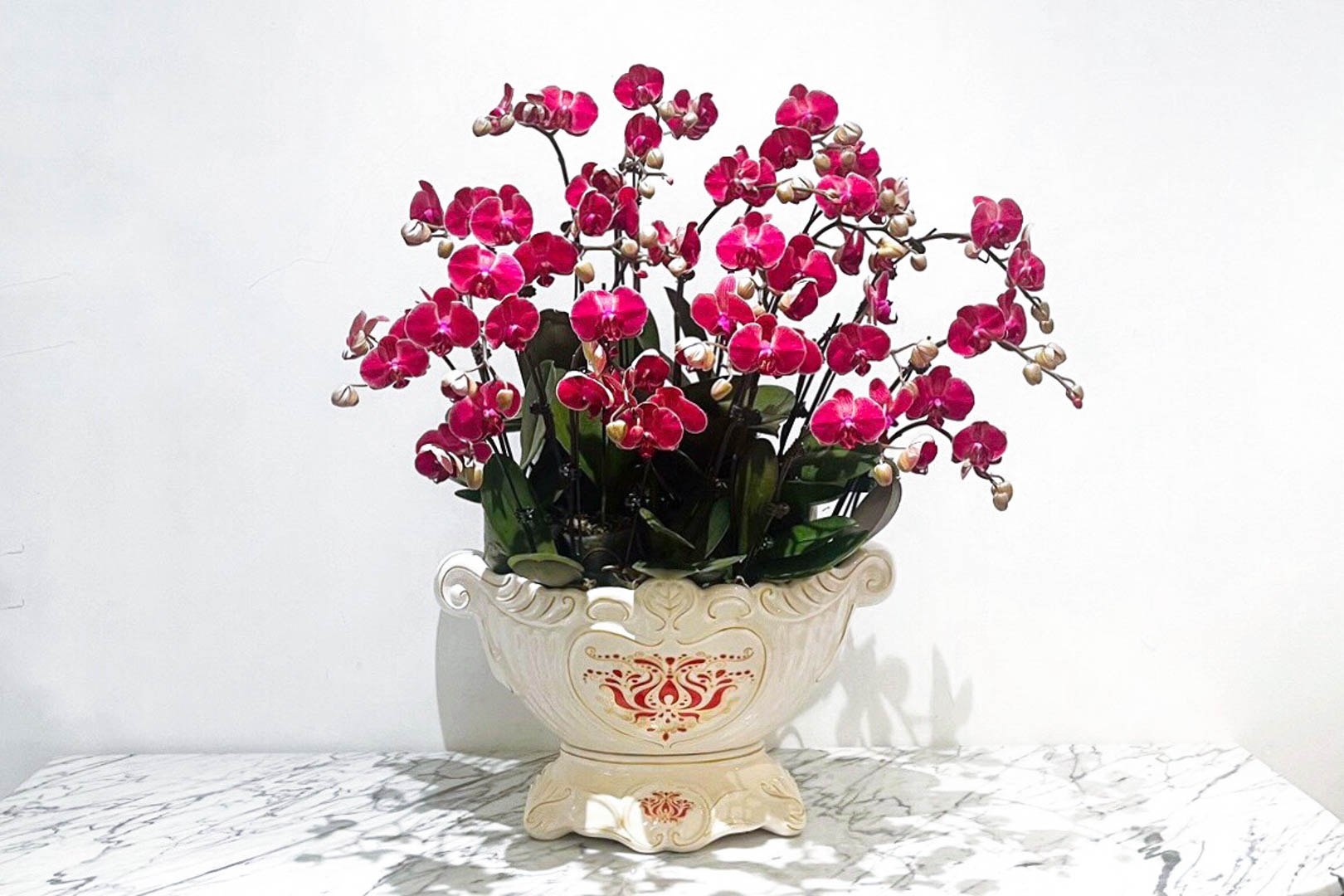 thợ cắm hoa lan ảnh 9 tho cam hoa lan anh 9