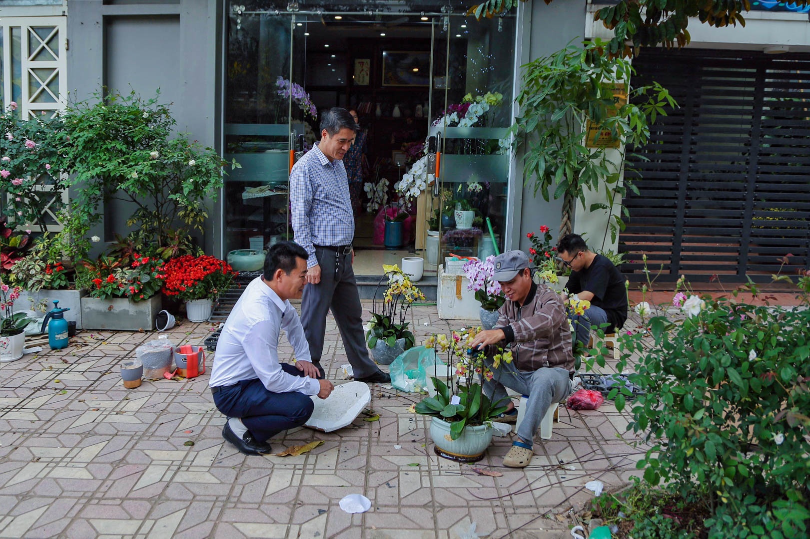 tho cam hoa lan anh 1