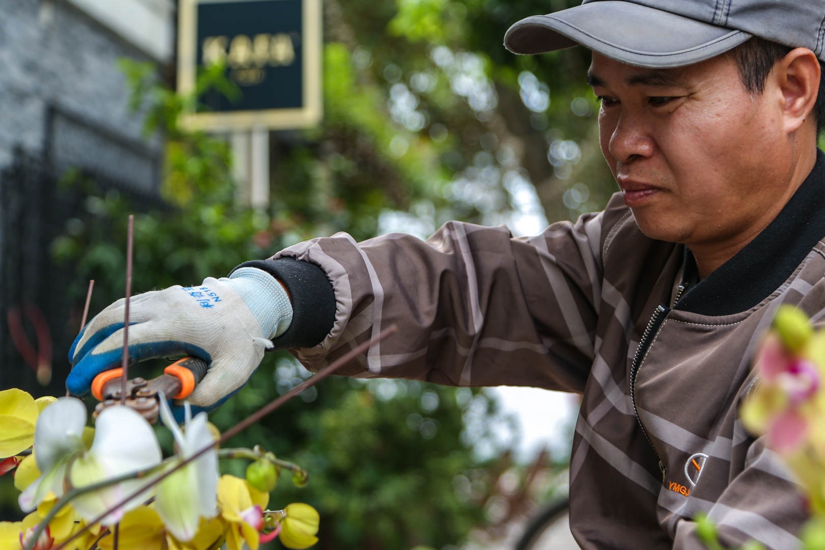 tho cam hoa lan anh 4