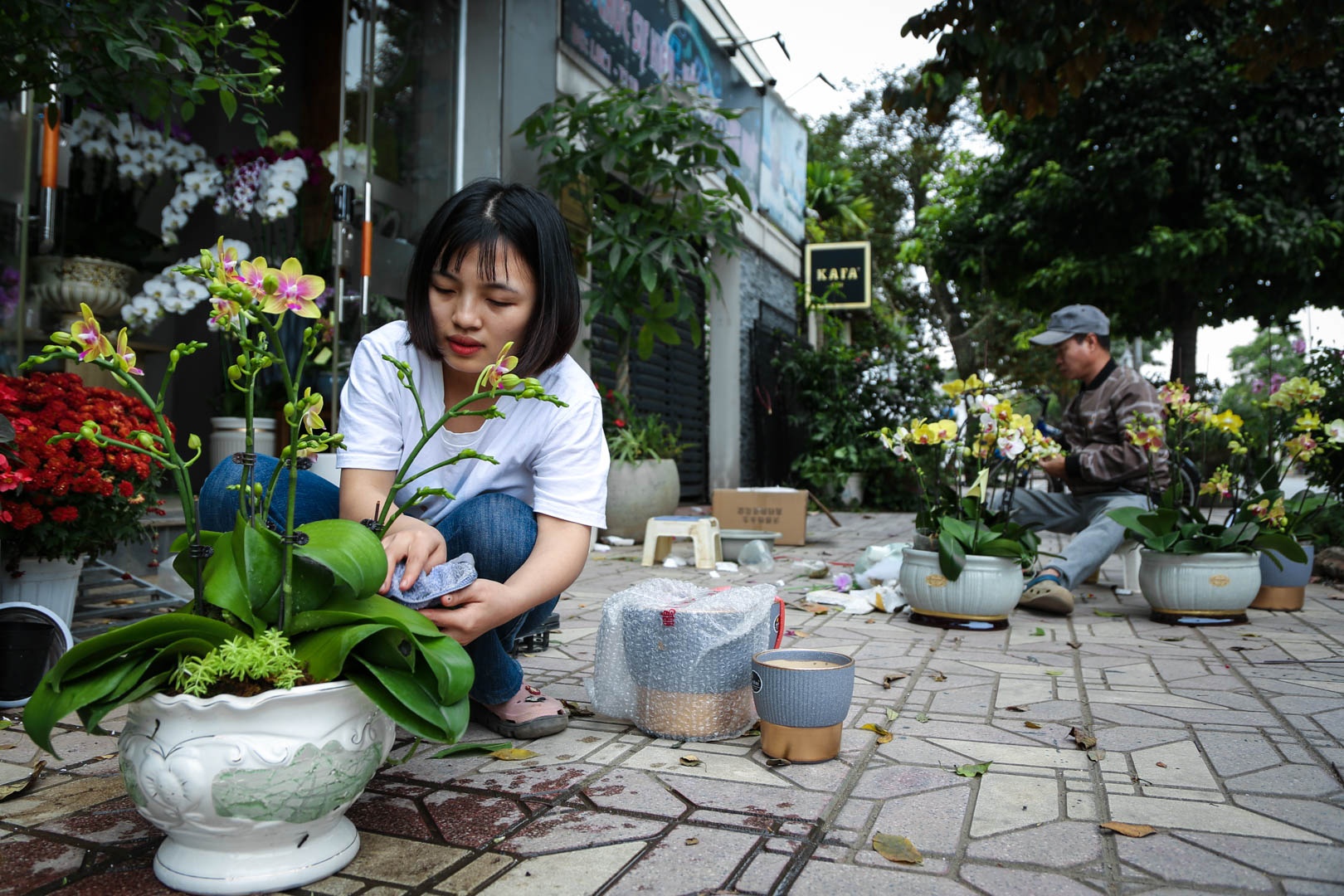 tho cam hoa lan anh 6