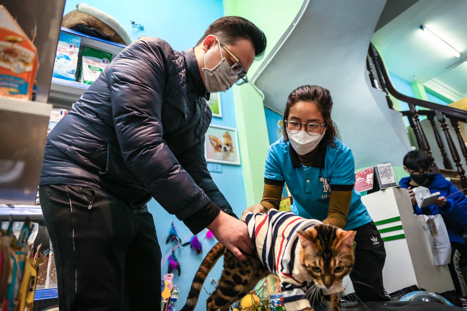 cham soc thu cung anh 13