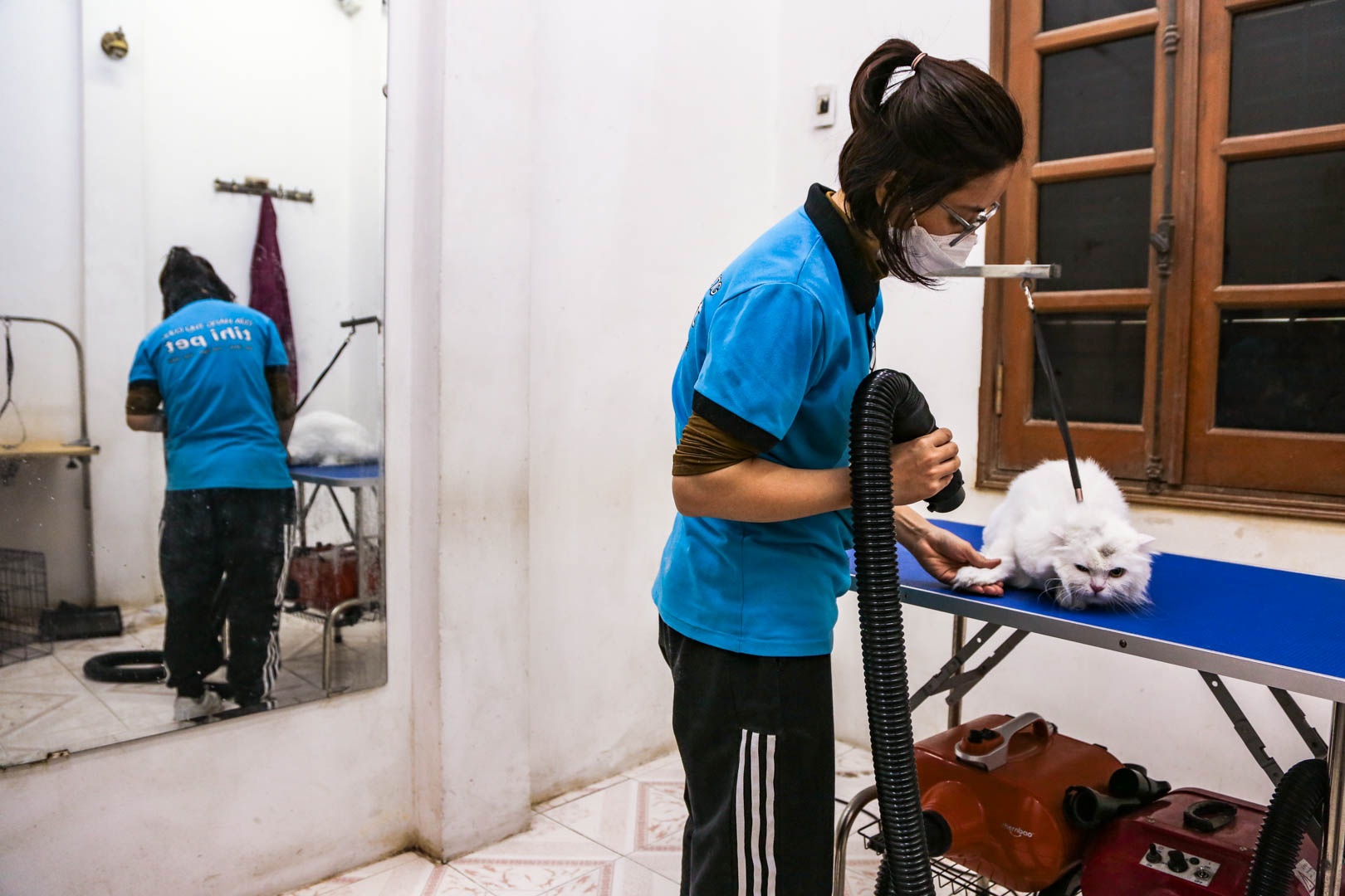 cham soc thu cung anh 4