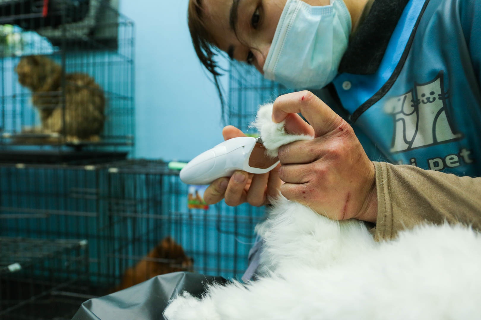 cham soc thu cung anh 7