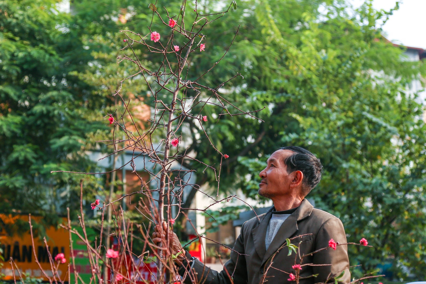 Di nhat hoa dao, lan duoc do bi vut bo ngay 30 Tet o Ha Noi hinh anh