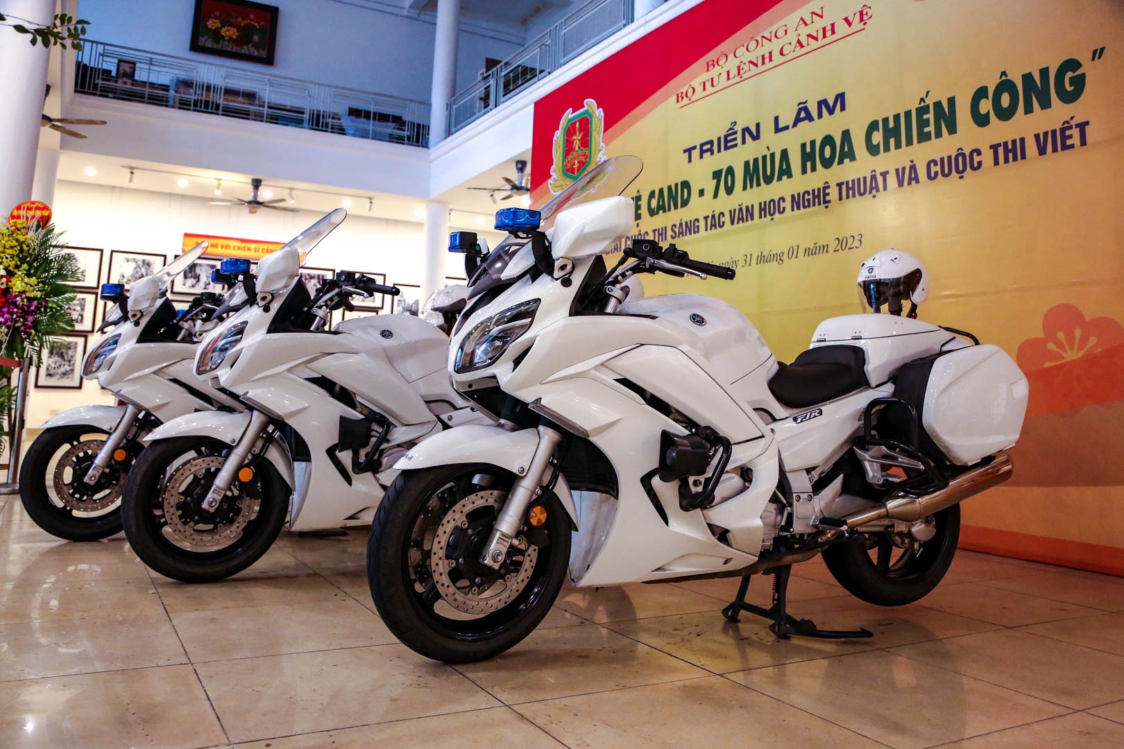 trien lam ve canh ve anh 2