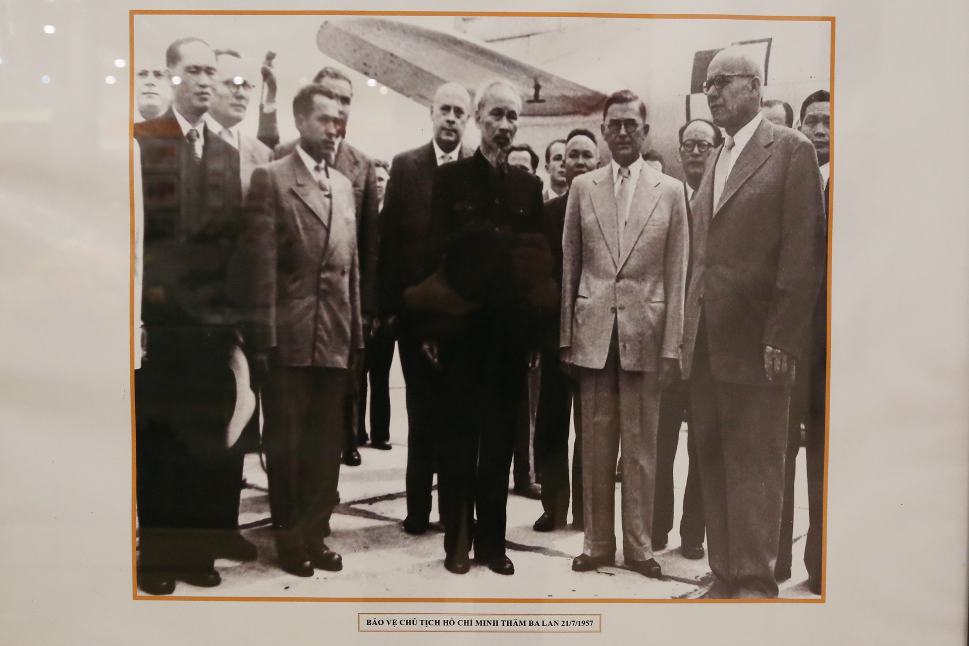 trien lam ve canh ve anh 4