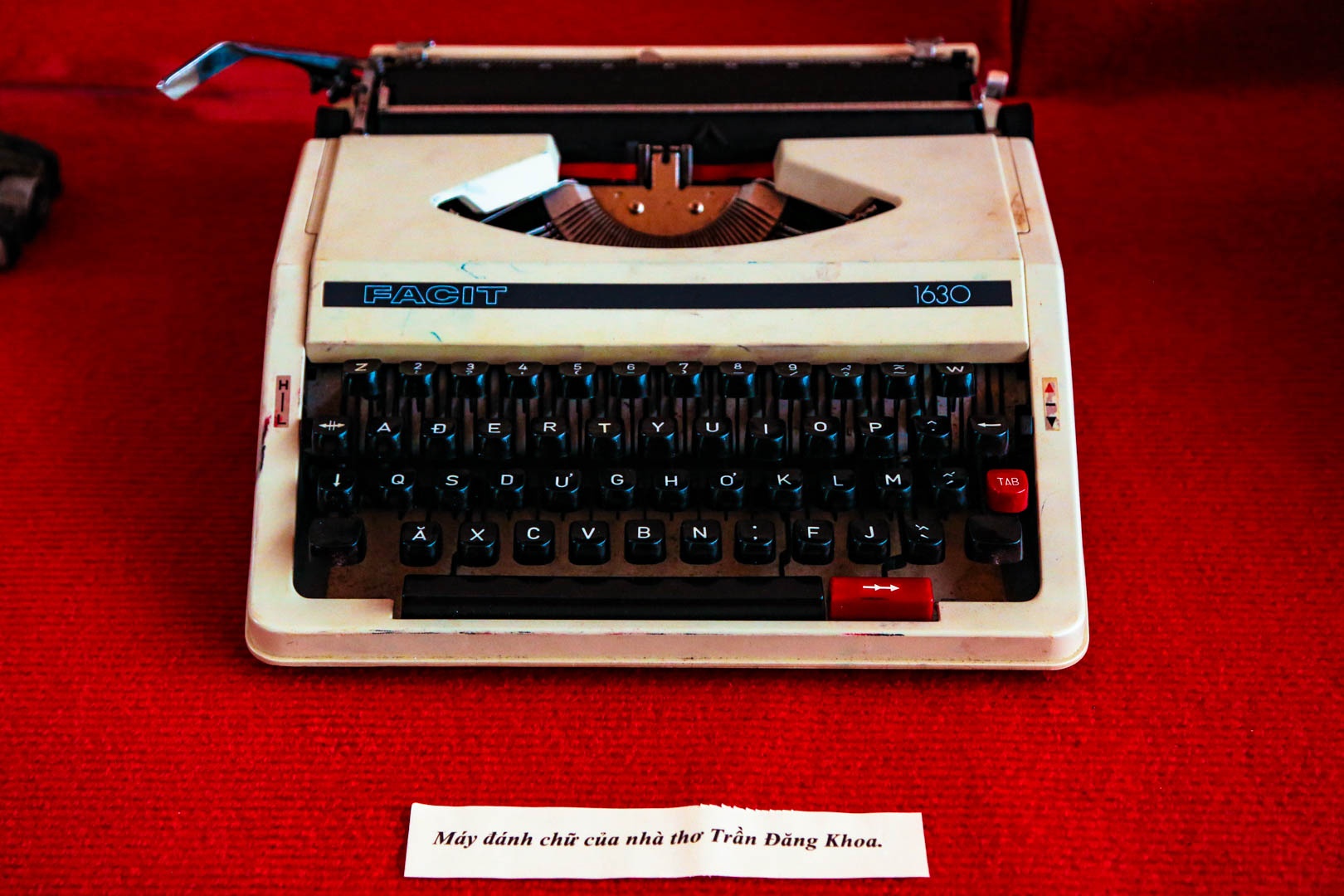 ngay tho Viet Nam anh 3