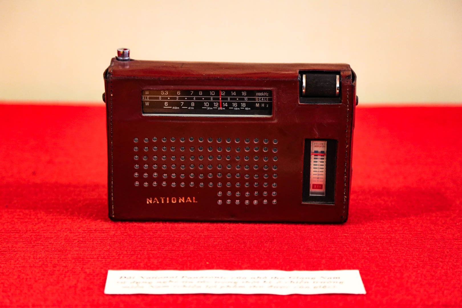 ngay tho Viet Nam anh 4