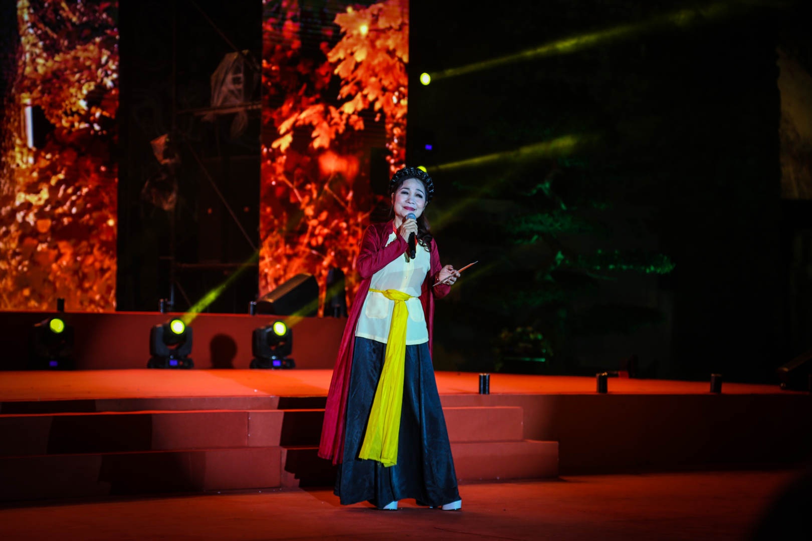 Dem tho Nguyen tieu anh 11