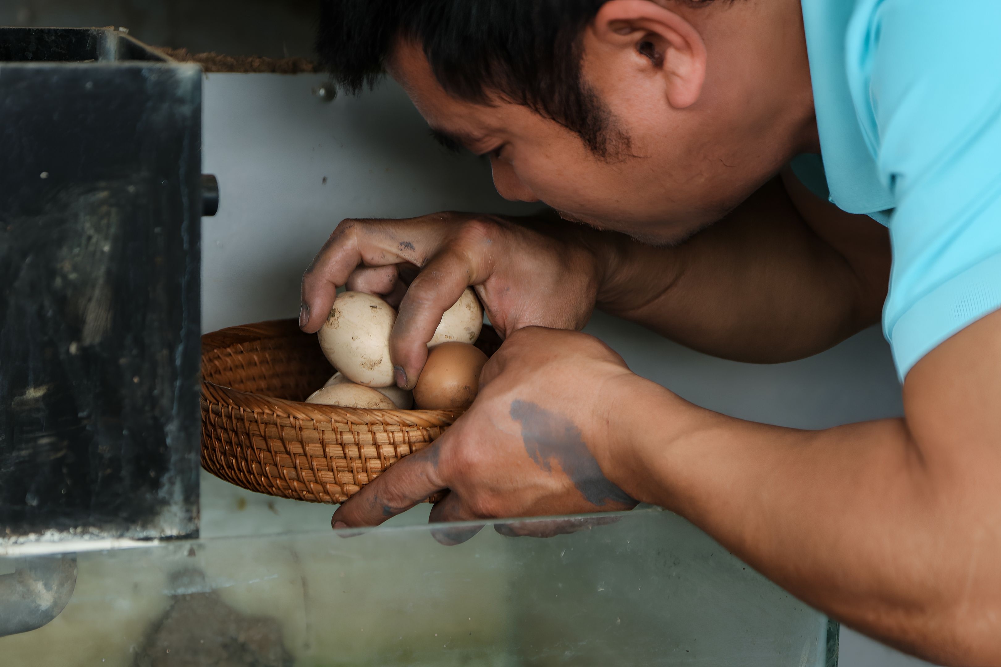 vuon tren san thuong anh 11