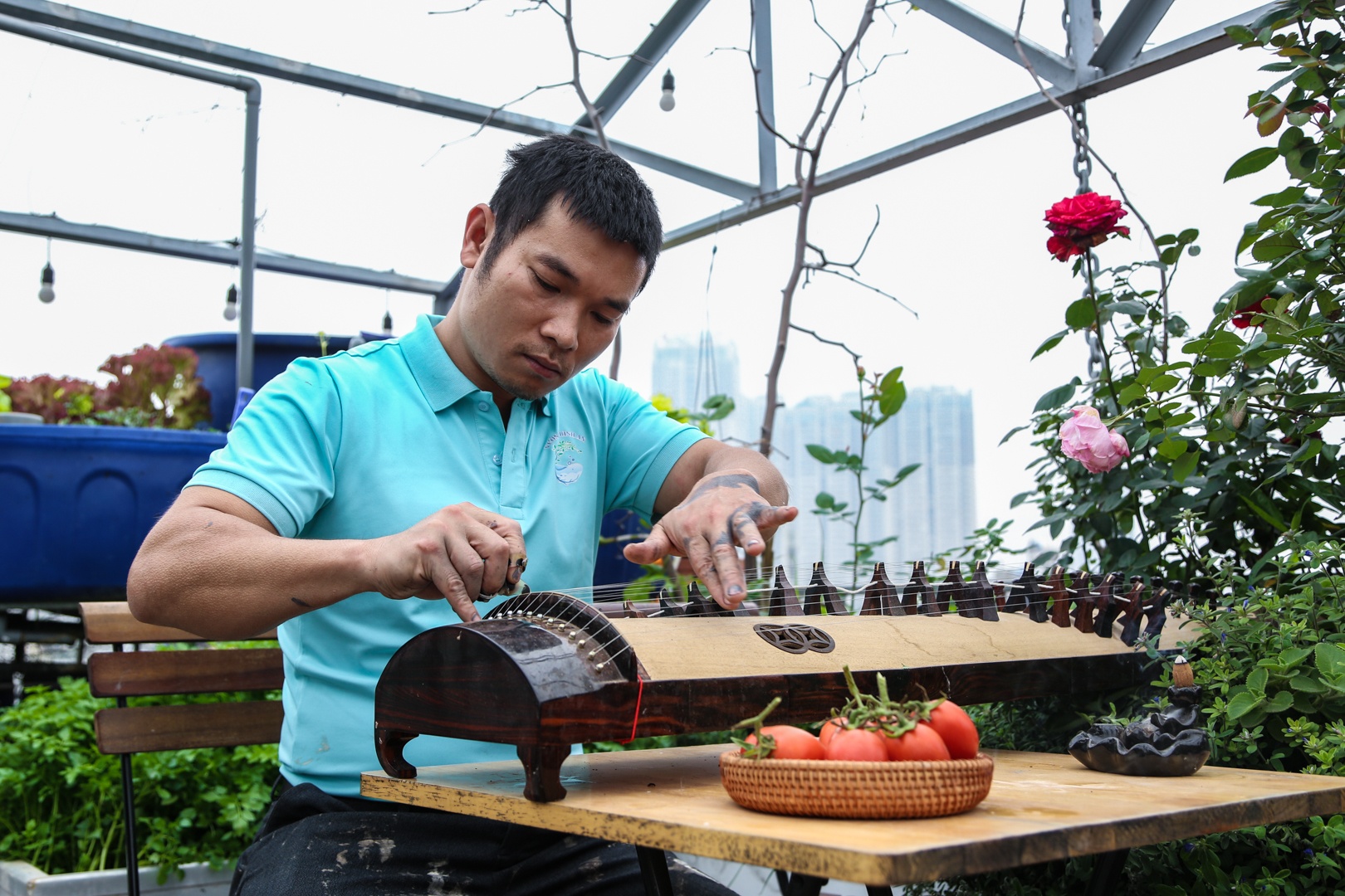 vuon tren san thuong anh 13