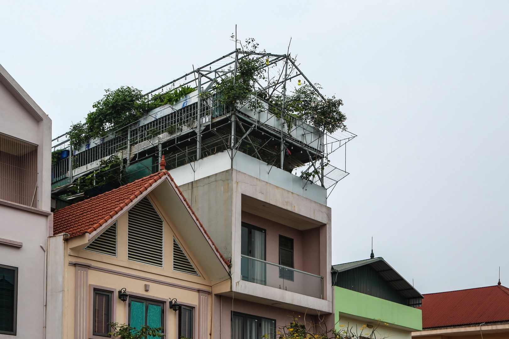 vuon tren san thuong anh 2